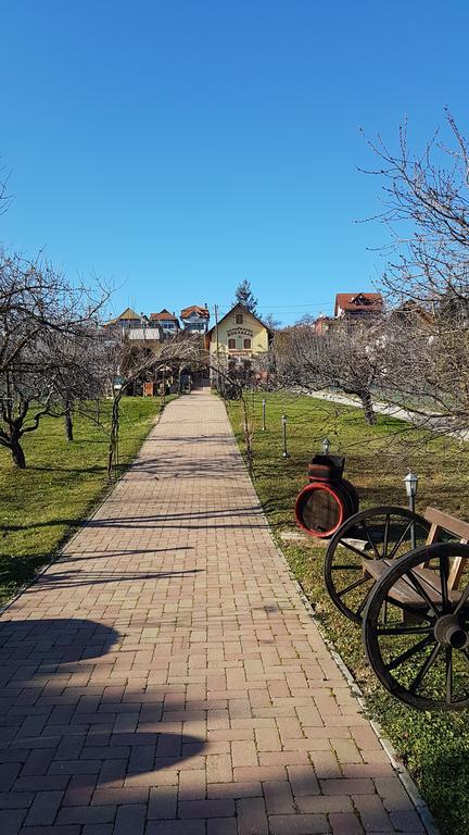Villa Nora Hévíz Buitenkant foto
