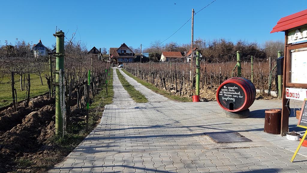 Villa Nora Hévíz Buitenkant foto